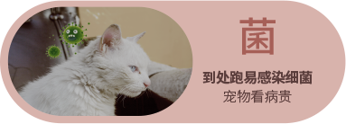 Bevictor伟德官网-韦德(中国)体育-伟大始于1946