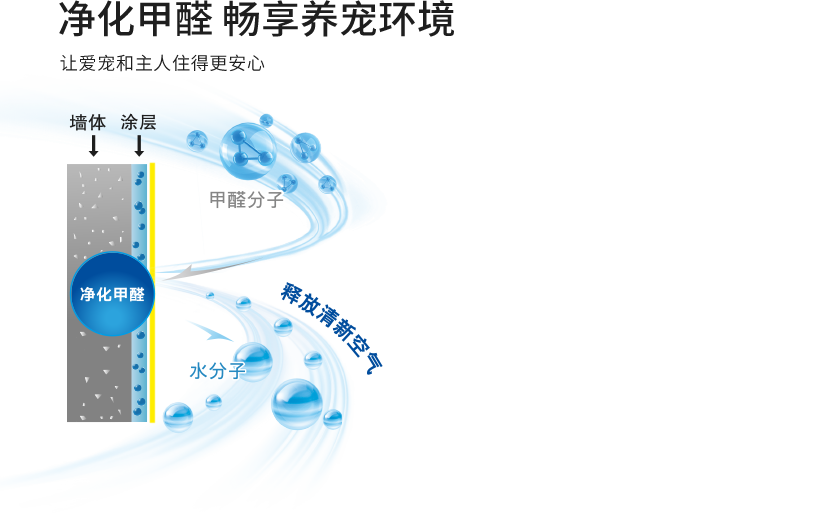 Bevictor伟德官网-韦德(中国)体育-伟大始于1946