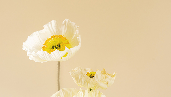 Bevictorΰ�¹���-Τ��(�й�)����-ΰ��ʼ��1946