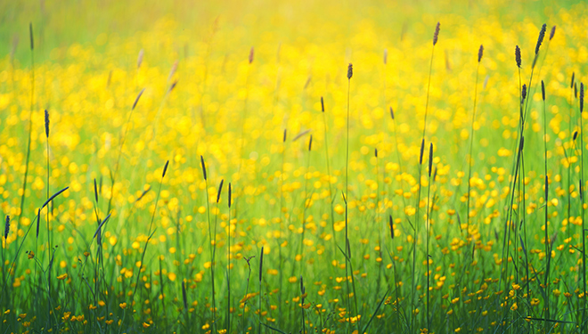 Bevictorΰ�¹���-Τ��(�й�)����-ΰ��ʼ��1946