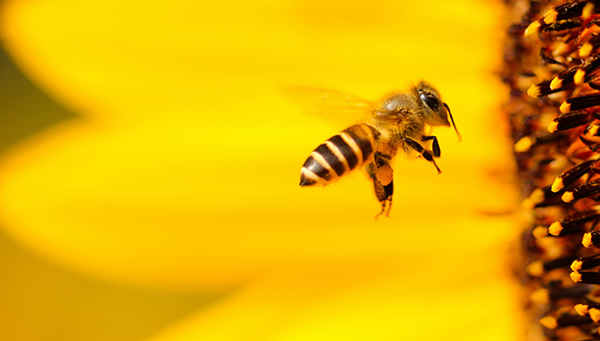 Bevictorΰ�¹���-Τ��(�й�)����-ΰ��ʼ��1946