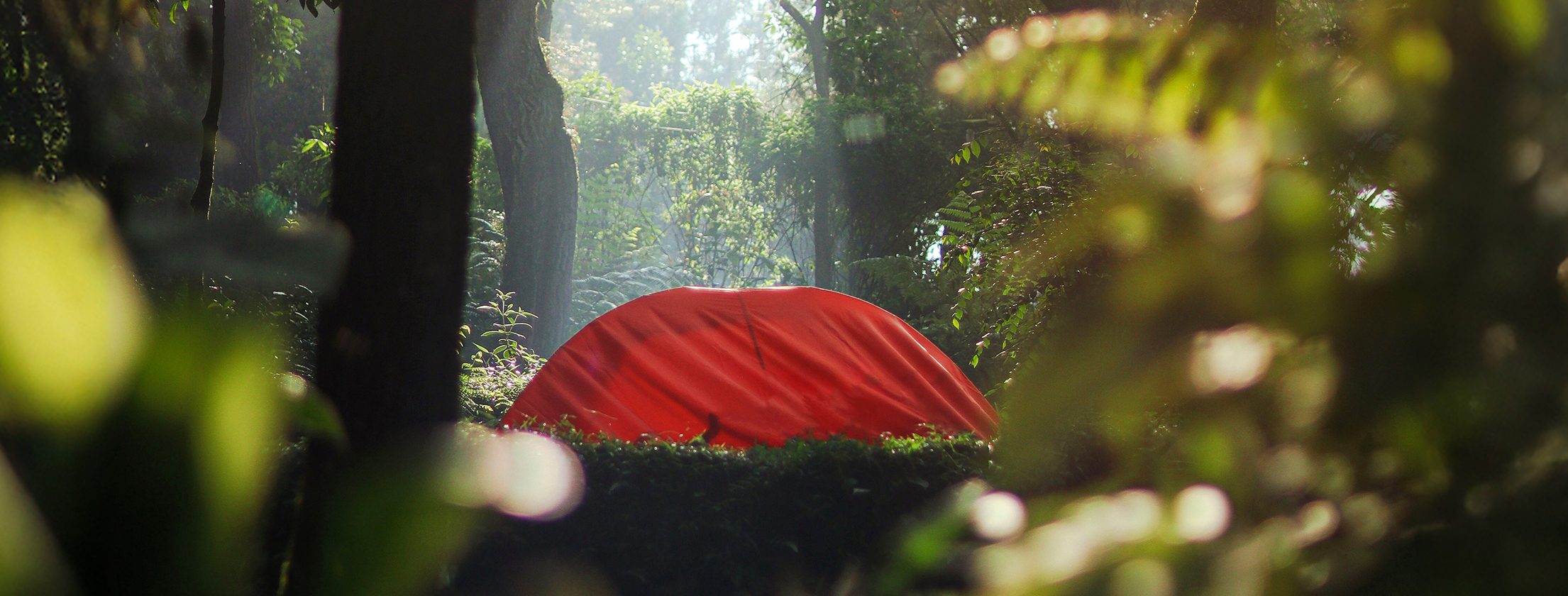 Bevictorΰ�¹���-Τ��(�й�)����-ΰ��ʼ��1946